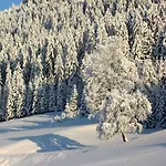 Hotel Der Kaerntnerhof Am Weissensee, Seehotel & Seeapartments Direkt Am Weissensee