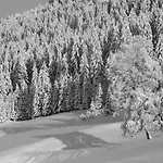 Hotel Der Kaerntnerhof Am Weissensee, Seehotel & Seeapartments Direkt Am 3*