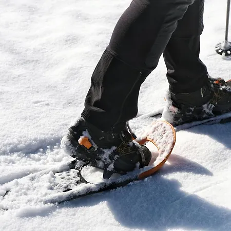 Hotel Seehotel&seeapartments Kärntnerhof- Direkt Am See!