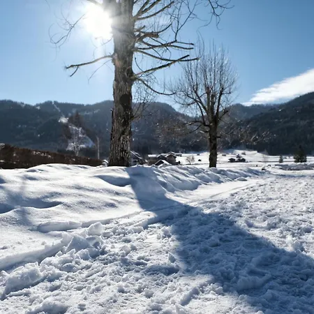 Der Kaerntnerhof Am Weissensee, Seehotel & Seeapartments Direkt Am Hotel Weissensee