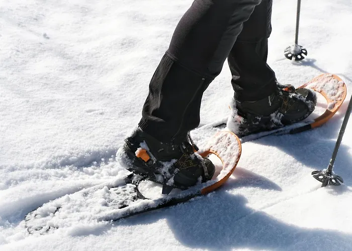 Hotel Der Kaerntnerhof Am Weissensee, Seehotel & Seeapartments Direkt Am