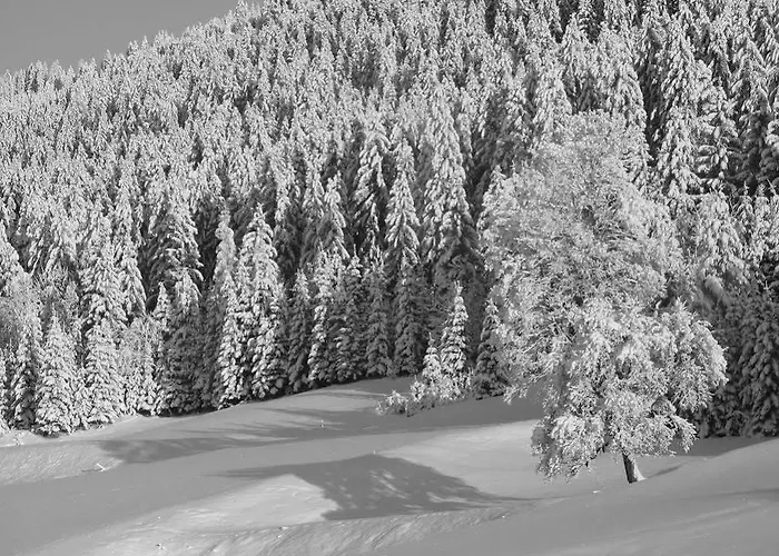 Hotel Der Kaerntnerhof Am Weissensee, Seehotel & Seeapartments Direkt Am 3*